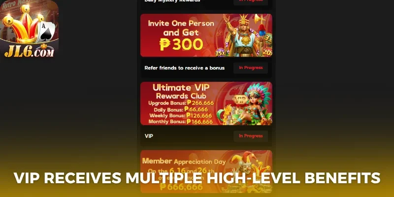 Promotion 3 VIP receives multiple high-level benefits
